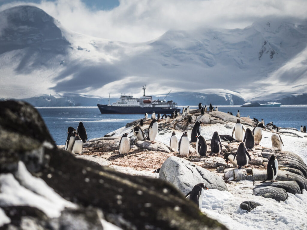 7 Very Unique Things To Do In Antarctica