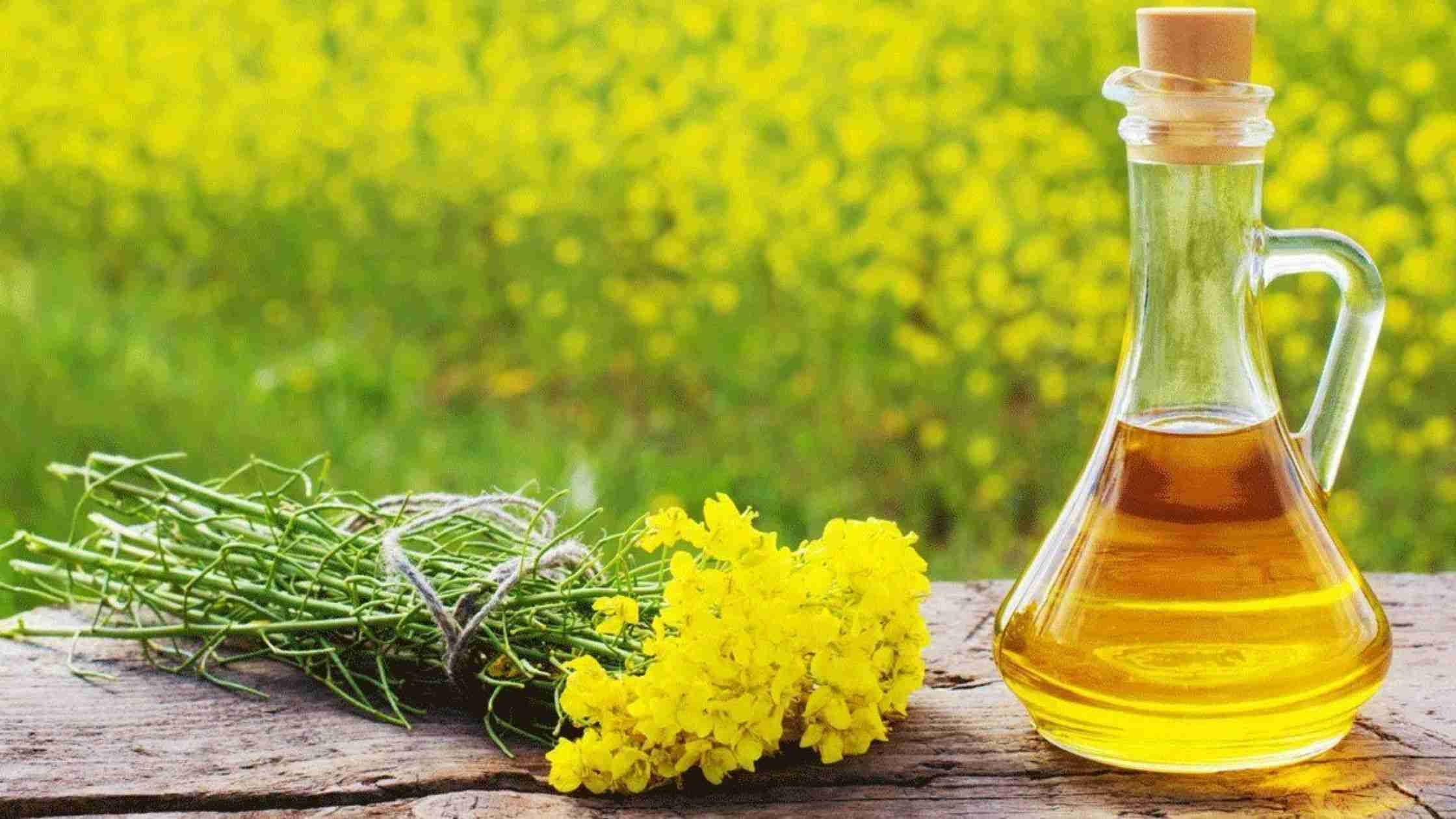 What is the Mustard Oil?