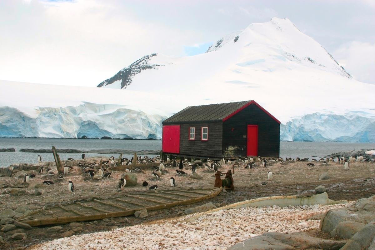 Things to Do in Antarctica